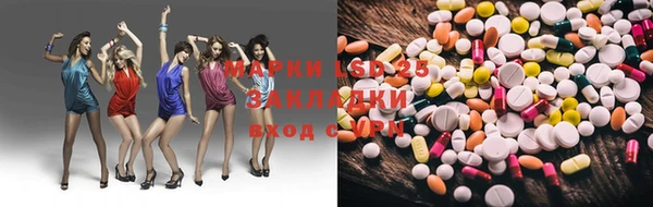 индика Коряжма