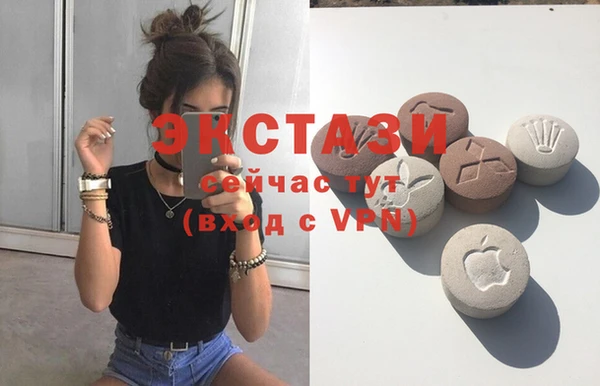 стаф Калининец