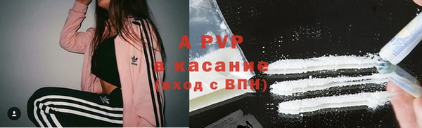 индика Коряжма