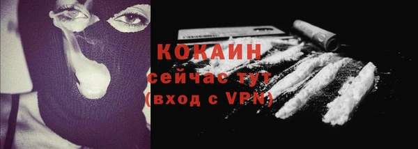индика Коряжма