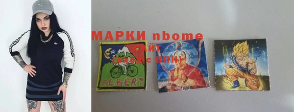индика Коряжма