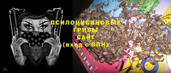 индика Коряжма