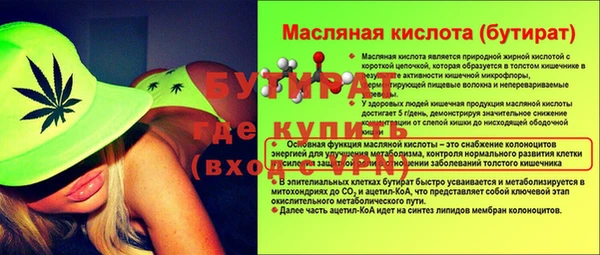 индика Коряжма