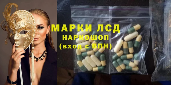 ешки Корсаков