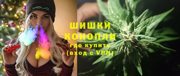 индика Коряжма
