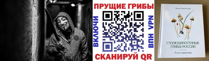 купить наркоту  мега маркетплейс  Галлюциногенные грибы мухоморы  Троицк 