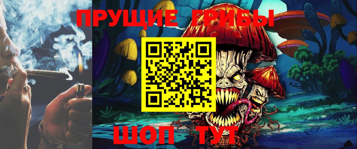 Троицк  Псилоцибиновые грибы прущие грибы  Вход с VPN 