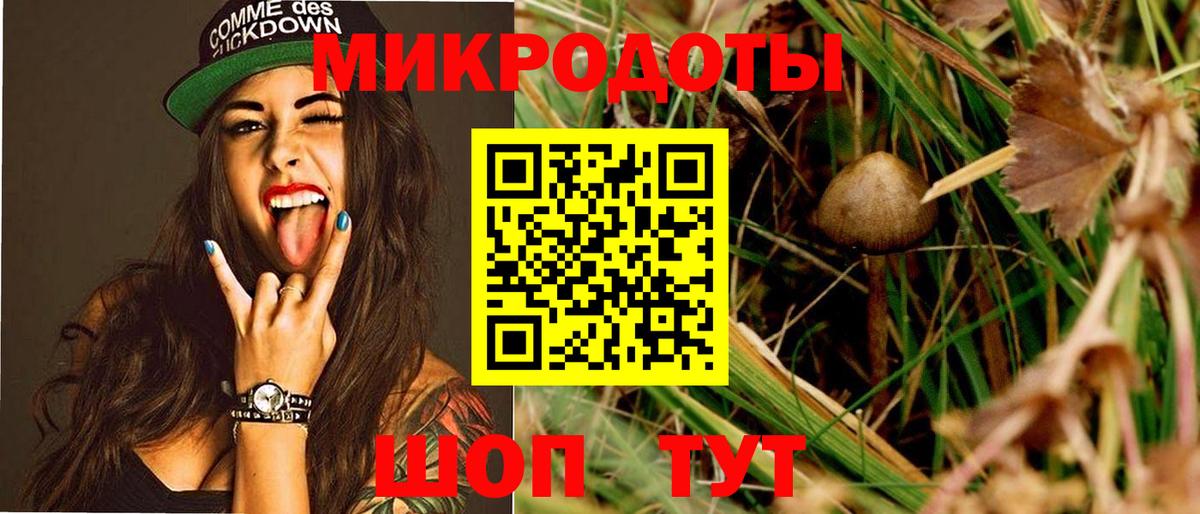 Галлюциногенные грибы Magic Shrooms Троицк